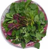 Gartenkraeuter_2_m.jpg