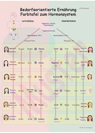 BoE-Farbtafel Wirkstoffe-Familien und Hormone