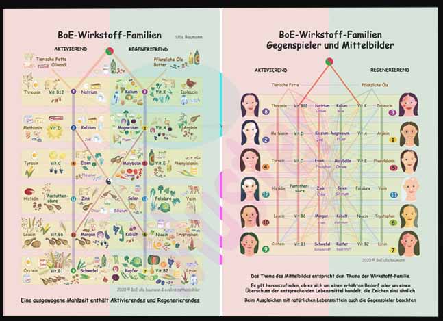 BoE-Farbtafel Wirkstoff-Familien-Mittelbilder